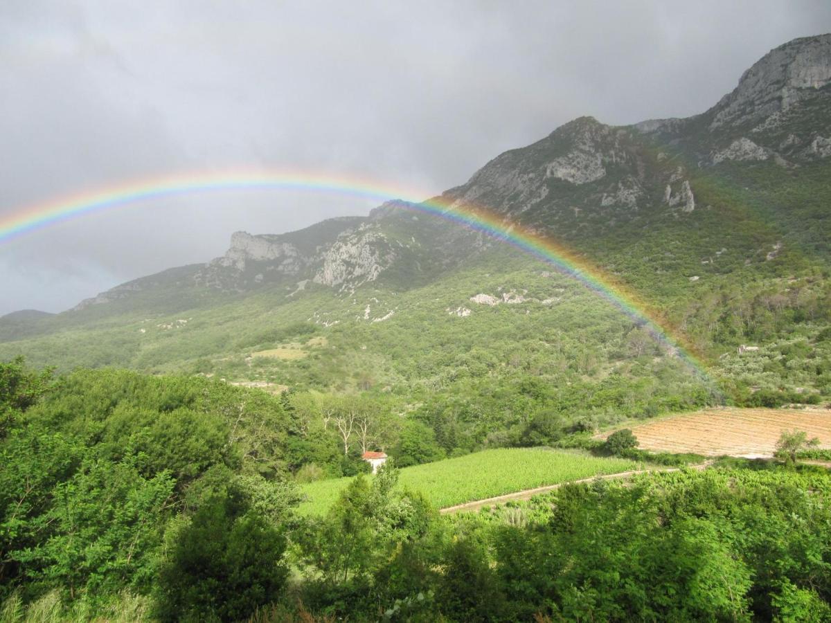 Auberge De La Vallee Saint-Jean-de-Buèges Dış mekan fotoğraf