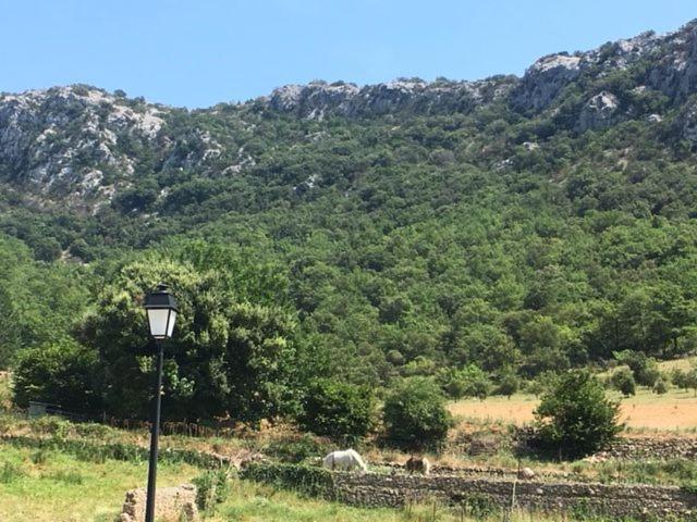 Auberge De La Vallee Saint-Jean-de-Buèges Dış mekan fotoğraf