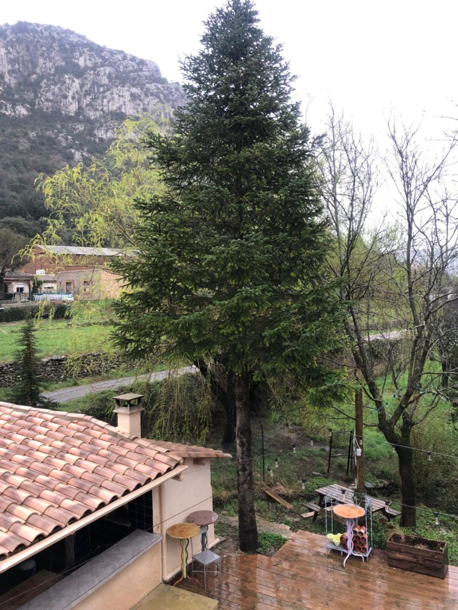 Auberge De La Vallee Saint-Jean-de-Buèges Dış mekan fotoğraf